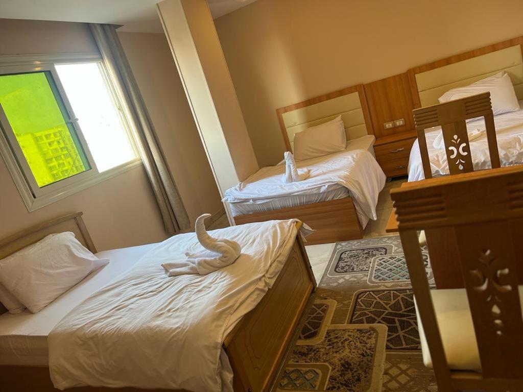 Grand Pyramids View Hotel 开罗 外观 照片